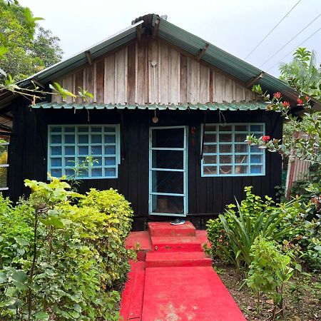 Apartmán Flor De La Selva Puerto Nariño Exteriér fotografie