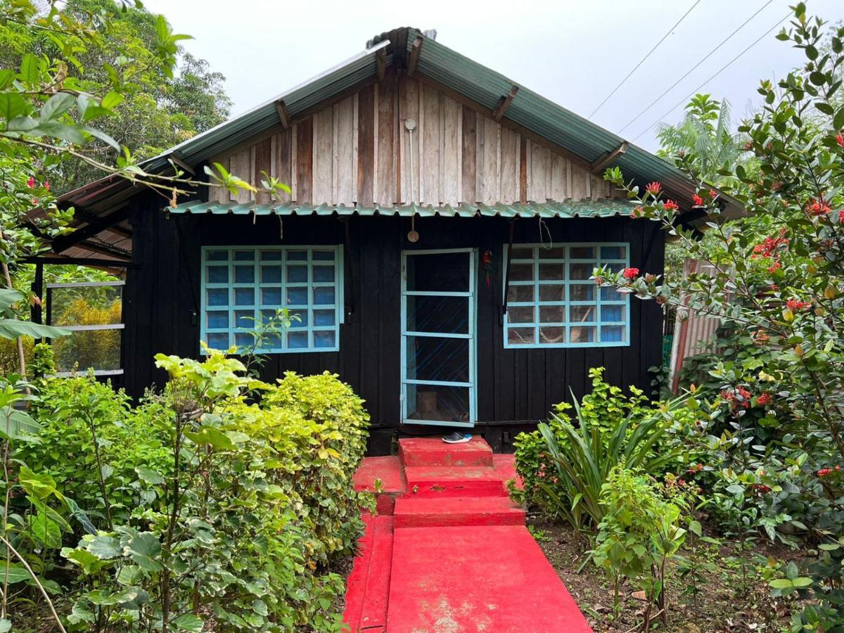 Apartmán Flor De La Selva Puerto Nariño Exteriér fotografie