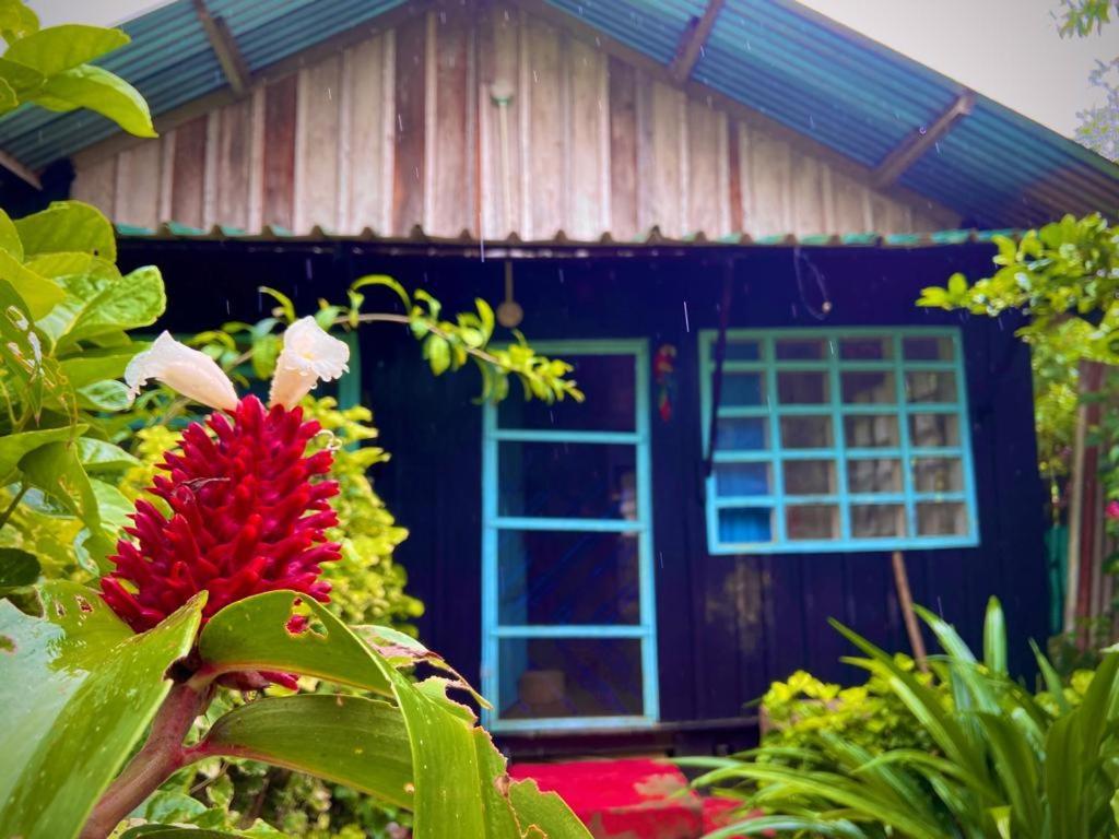 Apartmán Flor De La Selva Puerto Nariño Exteriér fotografie