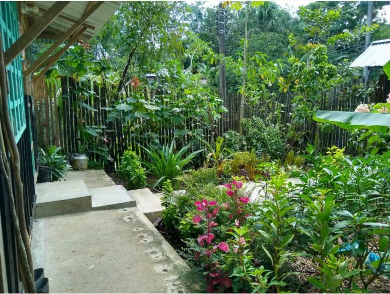 Apartmán Flor De La Selva Puerto Nariño Exteriér fotografie